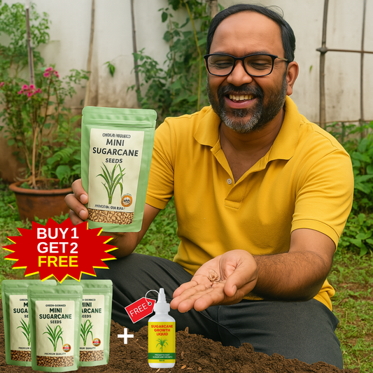 Sugarcane Seeds | BUY 1 GET 2 FREE + FREE Plant Booster