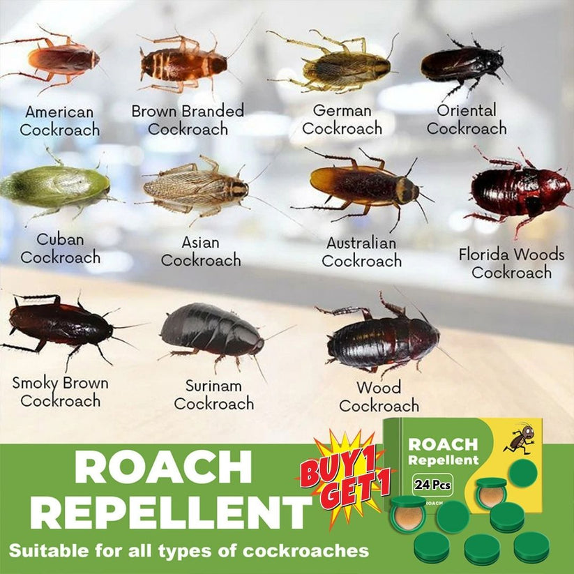 Cockroach Killer Gel (Buy 1 Get 1 Free) 24pcs