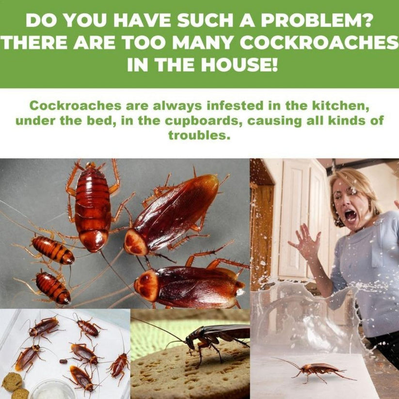 Cockroach Killer Gel (Buy 1 Get 1 Free) 24pcs