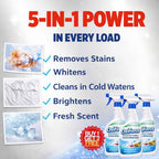 OxiForce Advanced Stain Remover Liquid - Color-Safe (BUY 1 GET 2 Free)