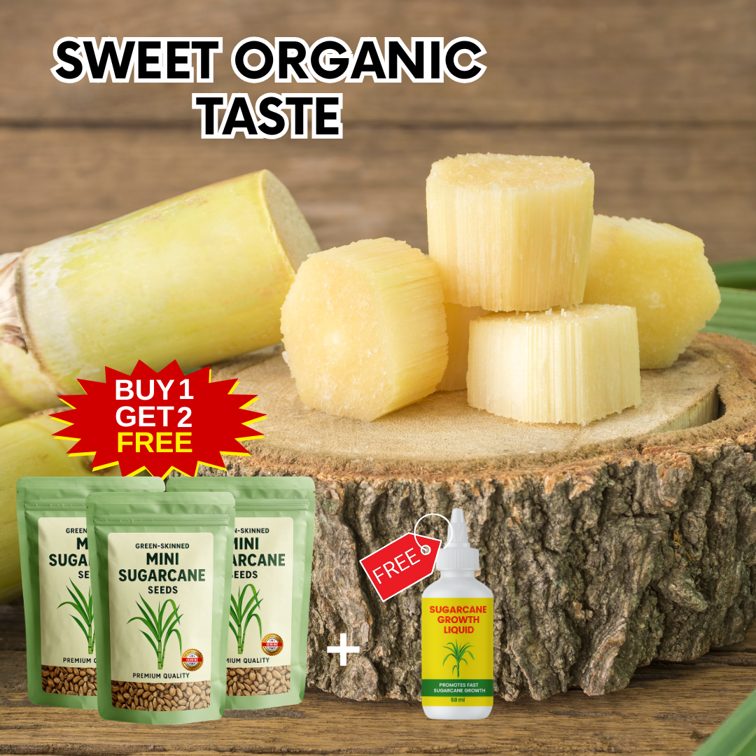 Sugarcane Seeds | BUY 1 GET 2 FREE + FREE Plant Booster