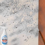 Wall Mold Remover Spray