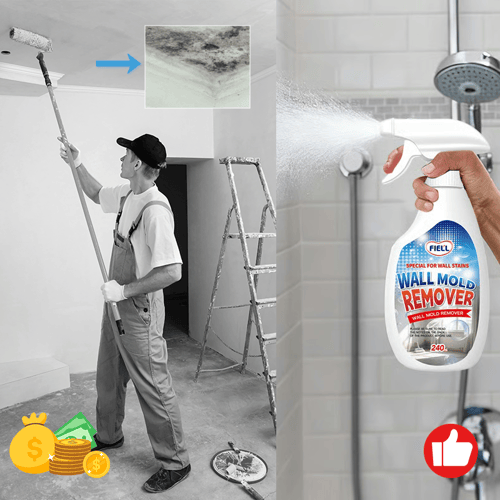 Wall Mold Remover Spray